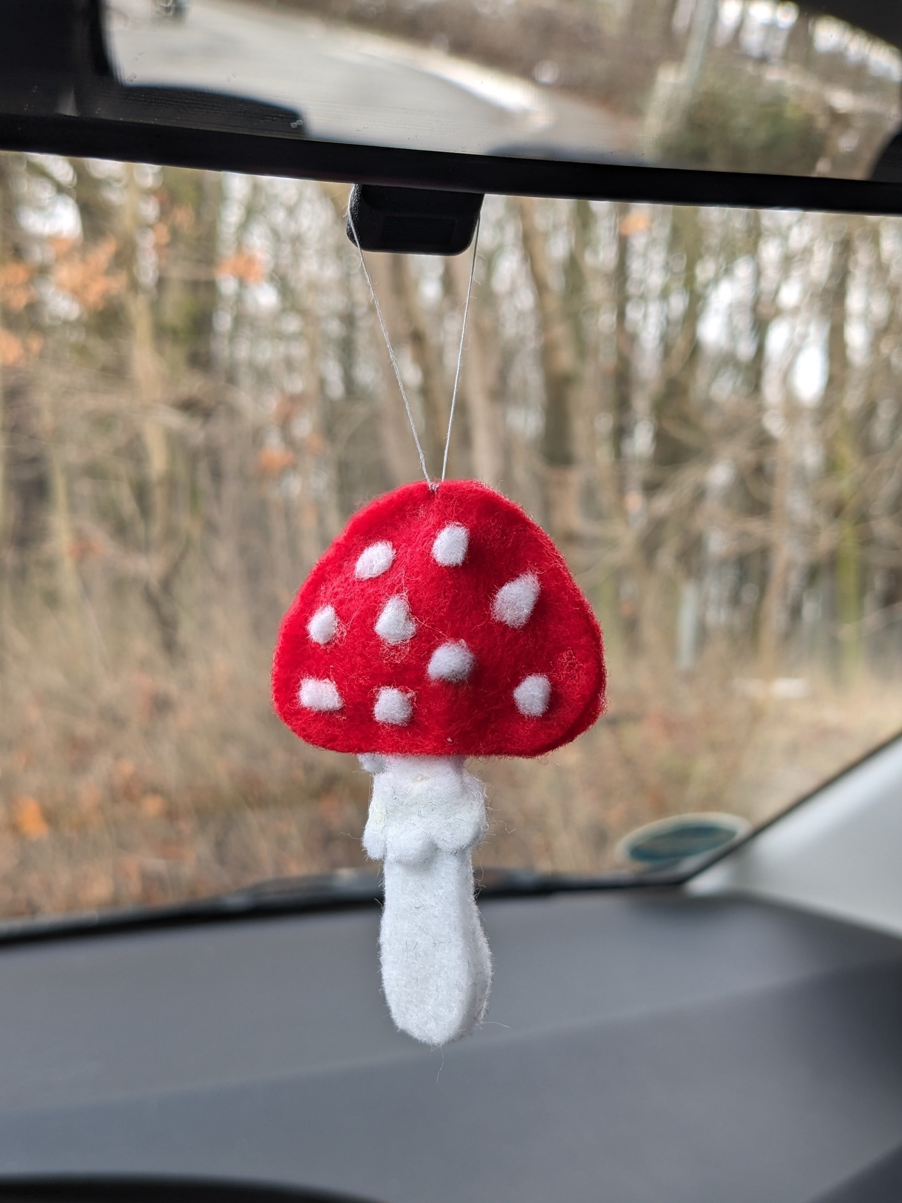 Fliegenpilz